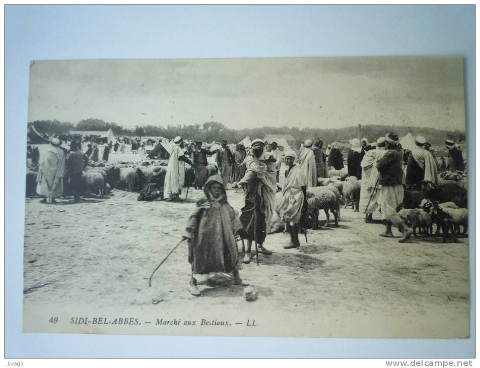 SIDI-BEL-ABBES    Marché  aux  BESTIAUX  -  Belle animation  XXX