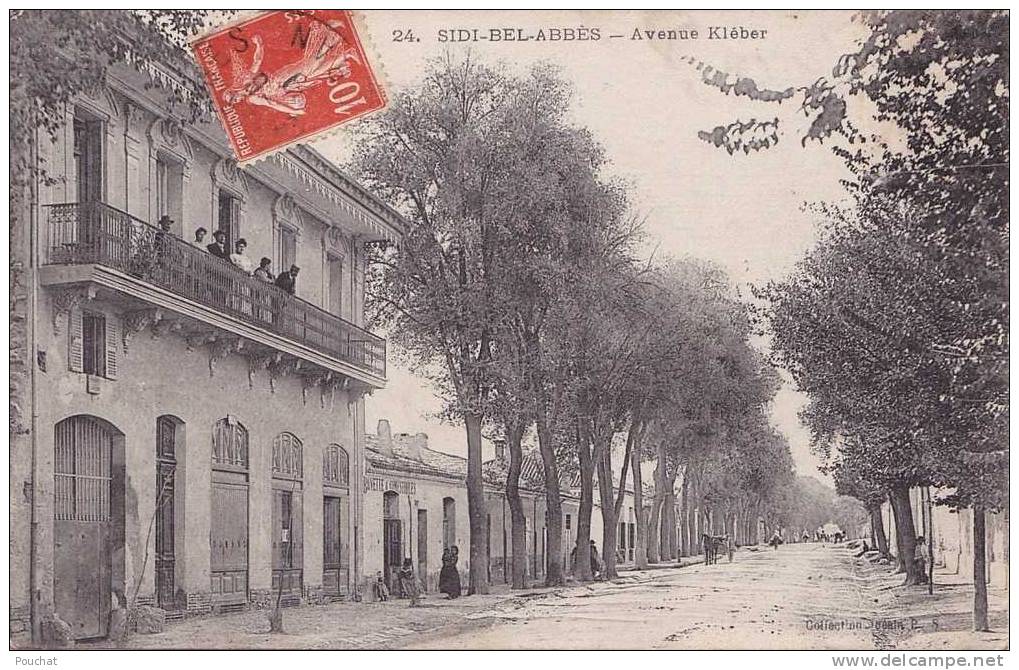 Sidi Bel  Abbès.- (Algérie)  Avenue  kléber  - (belle animation)