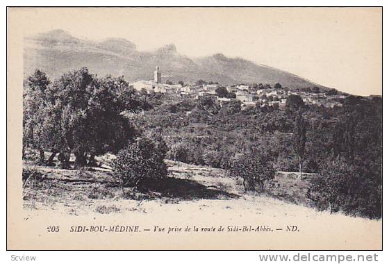 Vue Prise De La Route De Sidi-Bel-Abbes, Sidi-Bou-Medine, Algeria, Africa, 1900-1910s