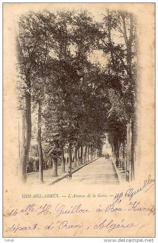 NK-0164-Algérie-Sidi Bel Abbès-L'avenue de la Gare-N.D.