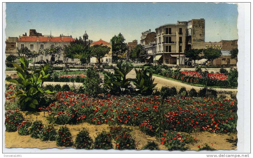 ALGERIE  SIDI BEL ABBES Place de Lattre , entrée bld de la République   9x14 dentelée , glaçée