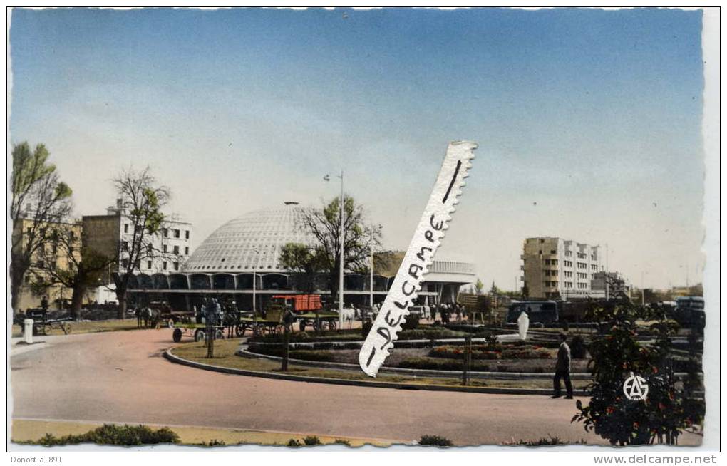 ALGERIE SIDI-BEL-ABBES  Les halles   . 9x14 dentelée , glaçée ,