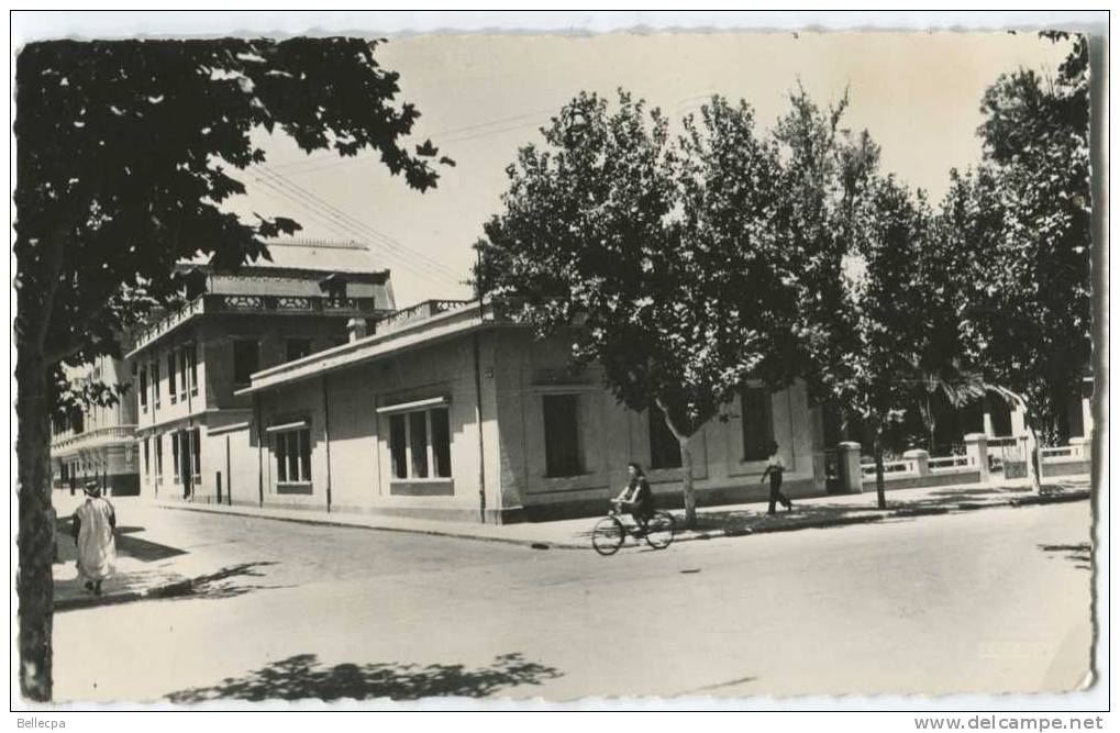 ALGERIE CPSM SIDI BEL ABBES Cercle Militaire