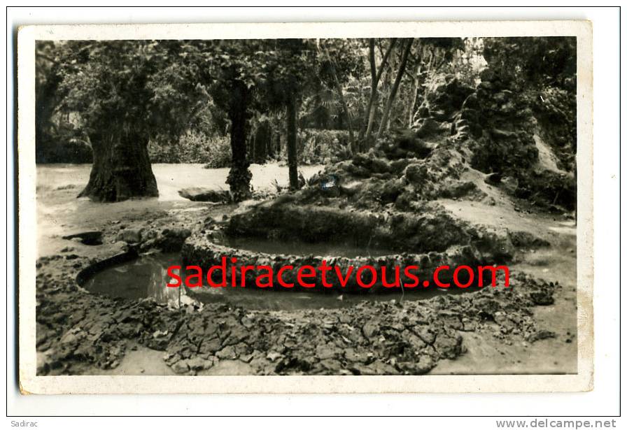 Afrique >  Algérie - Sidi Bel Abbès - jardin Public - La cascade - Ed Photo Africaine 19