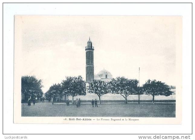LP98  Algeria, Sidi Bel Abbes, vintage postcard, Le Plateau Bugeaud et la Mosquee