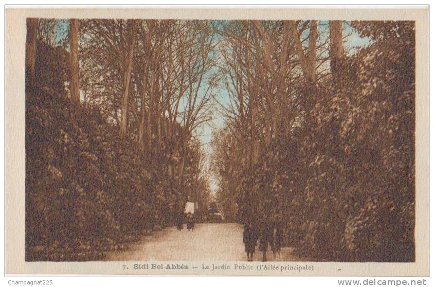 CPA ALGERIE SIDI BEL ABBES Le Jardin Publique