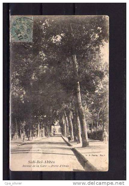 ALGERIE Sidi Bel Abbes Avenue de la Gare, Porte d'Oran, ed VP 6, 1905