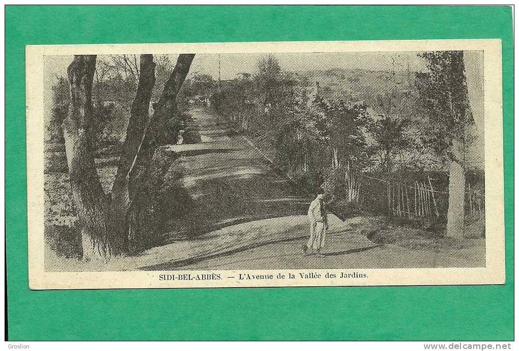 SIDI BEL ABBES L AVENUE DE LA VALEE DES JARDINS