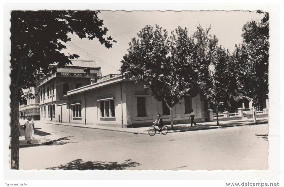 * CPSM Sidi Bel Abbès, le cercle militaire, format 9cm sur 14cm environ, Algérie *