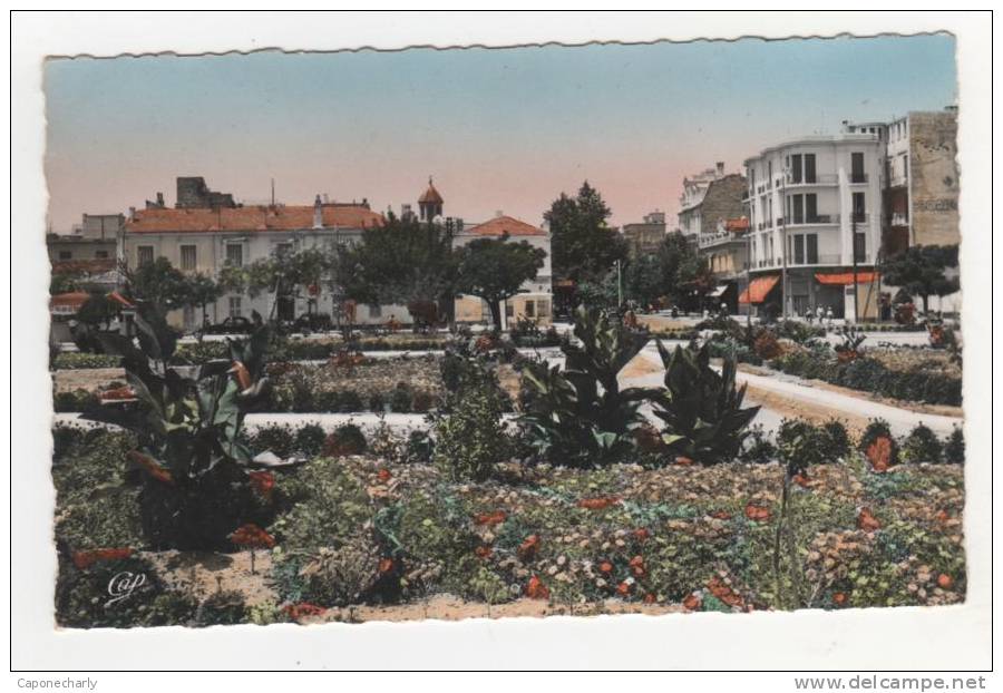 * CPSM colorisée Sidi Bel Abbès nouvelle place et  entrée du bd de la République, format 9cm sur 14cm environ, Algérie *