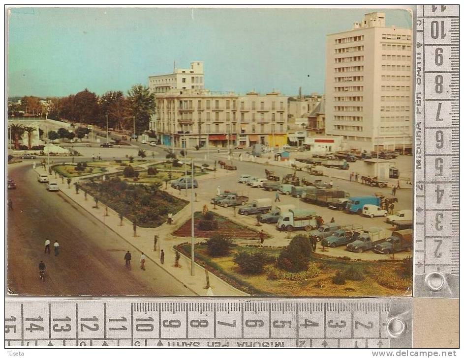 SIDI BEL ABBES (Algeria) movimentata - viaggiata - vedi