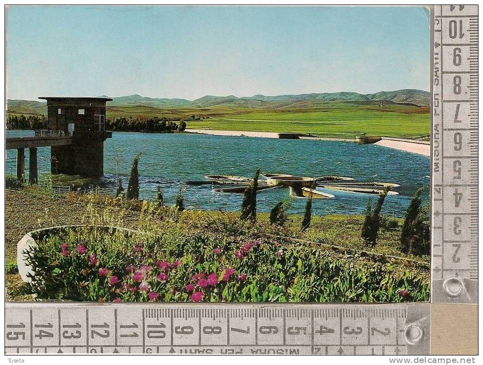 SIDI BEL ABBES - viaggiata - vedi