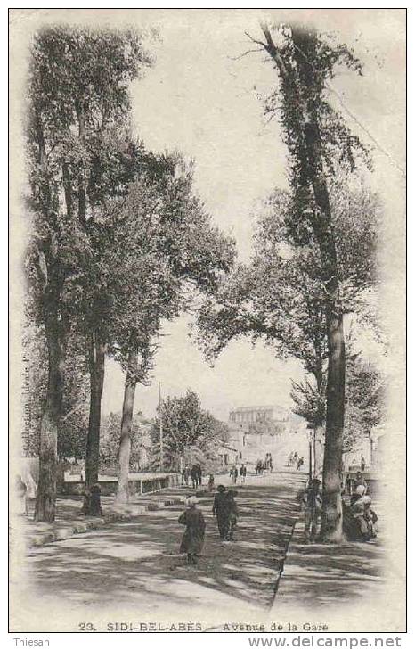 Algérie.Sidi Bel Abbés.Avenue de la gare ( Ideal P.S 23 ).