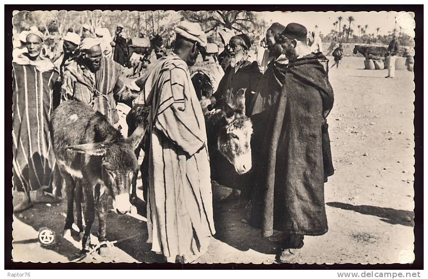 CPSM animée SIDI BEL ABBES Les Souks - Le Marché aux Anes