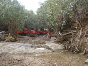 Source d'eau (el hammam dakhlani )
