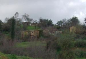 Maison natal de RABEHI SAHRAOUI