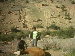 houari et yassinde a taghia