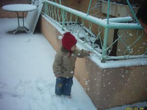 le petit bachir sous la neige