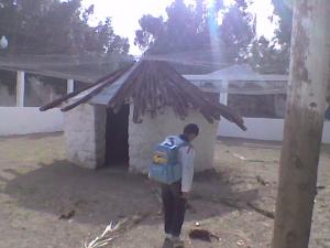 Jardin de Sig cage de pigeons