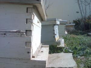 l'apiculture au c.f.p.a merahna