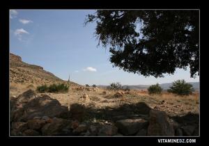 Ancien cimetiere d'El Bkhayta El Ghraba à coté de Sebdou