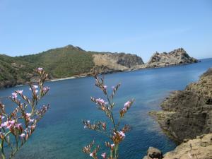 une des criques de gargamize