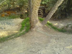 moulin a l'huile traditionel