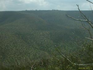 djebel chorfa mechraa sfa