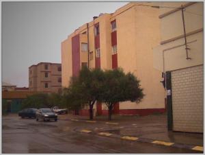 Les batiments de cité 100 logements