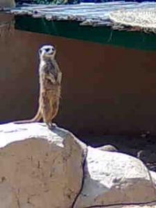 Parc Naturel Friguia Tunisie