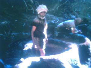 traitement des olives pour faire du l'huile d'olives