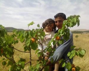 arbres fruités a zoui