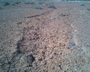 Le monstre Souterraine