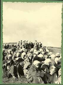 رد فعل الاستعمار بعد ليلة الفاتح من نوفمبر 1954