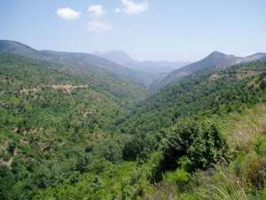 معركة خالد سنة 1956