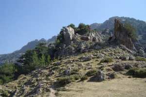 معركة خالد سنة في 1956/09/25