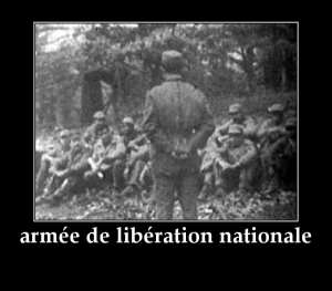 التسليح في الثورة