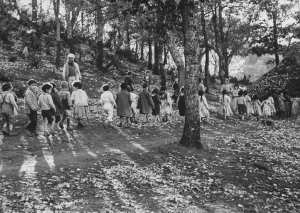 المشروع الثقافي