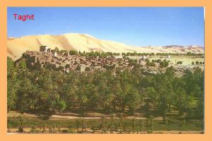 Palmeraie et ksar de Taghit, vue panoramique. insaisissable ?