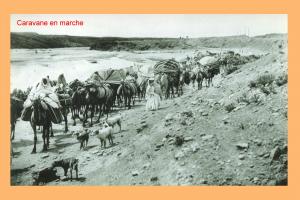 caravane nomade en action..