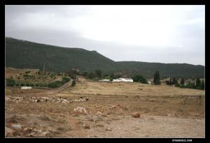 ضريح و مسجد سيدي عفيف