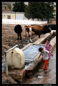 عين سيدي عفيف