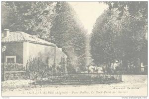 ALGERIE.  SIDI BEL ABBES.  PARC PUBLIC.  LE ROND-POINT DES ROSIERS.  GROS PLAN