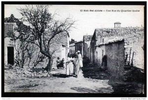 Sidi Bel Abbès - Une Rue du Quartier Arabe - Carte vierge en parfait état -