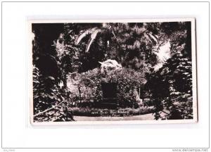 ALGERIE Sidi Bel Abès Square Edgar Quinet, ed Cigogne 508, CPSM 9x14, 194?