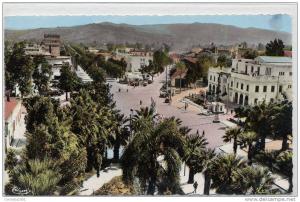 ALGERIE  SKIKDA . 9x14 dentelée , glacée .