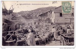 PHILIPPEVILLE - EMBARQUEMENT DE MOUTONS