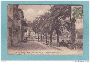 PHILIPPEVILLE  -  Les Palmiers de la Rue Ch. Blanchet  -   CARTE ANIMEE -