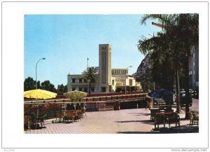 ALGERIE Skikda Rue Didouche Mourad, ed SNE 196, CPSM 10x15, 197?