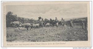 JP  .  ALGERIE  . KABYLES  près de TIZI OUZOU  .